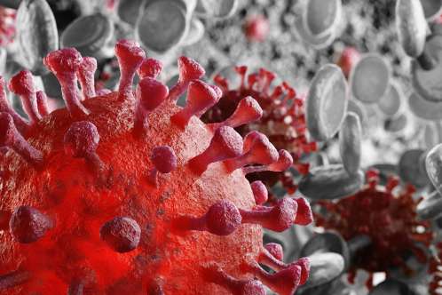 Foto: Virus